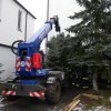 christbaumaufstellen 2017 12